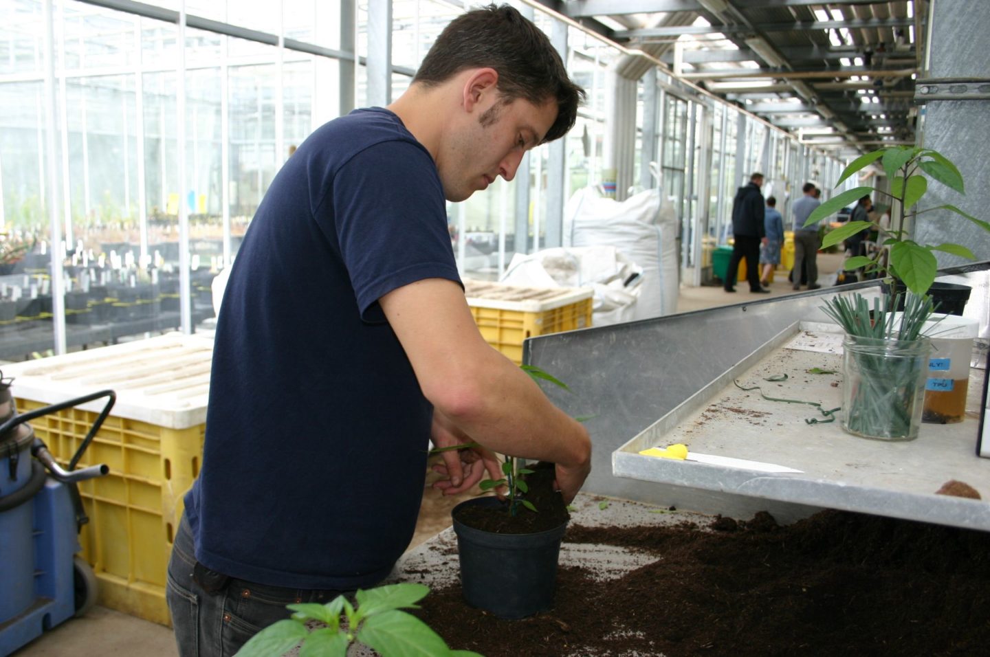 Certificate in Horticulture