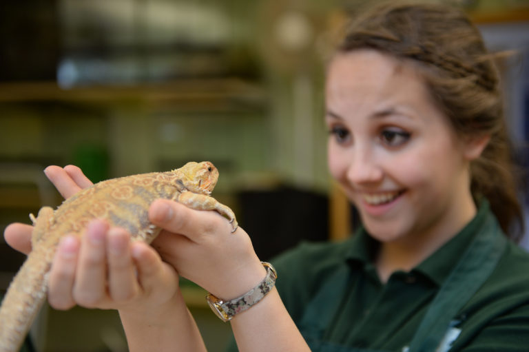 Advanced Technical Extended Diploma in Animal Management / Zoo